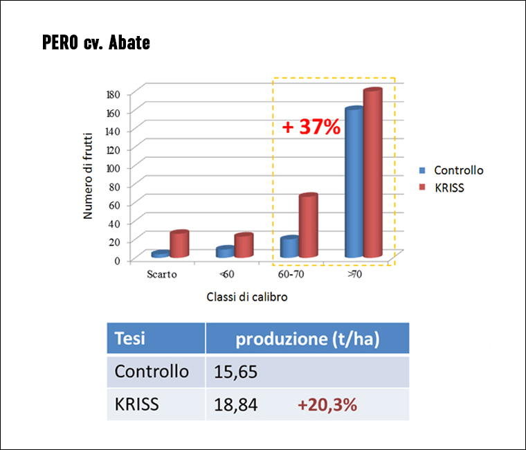 pero_cv_abate