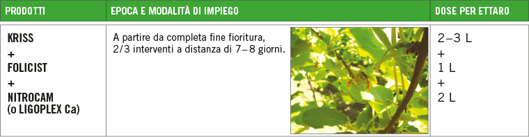 Favorire l&#039;ingrossamento dei frutti grazie ai biostimolanti