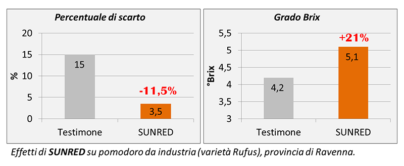 Aumenta il brix e riduci lo scarto su pomodoro da industria