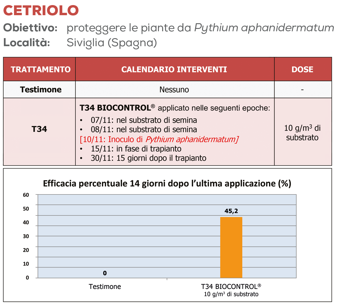 Marciumi radicali e non solo: stop alle malattie fungine