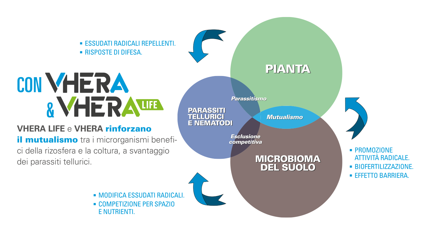 Avversità del suolo: da oggi non spaventano più grazie a VHERA e VHERA LIFE