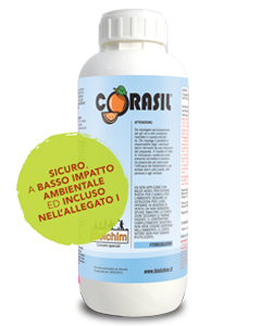 Come migliorare pezzatura e qualità degli agrumi con CORASIL