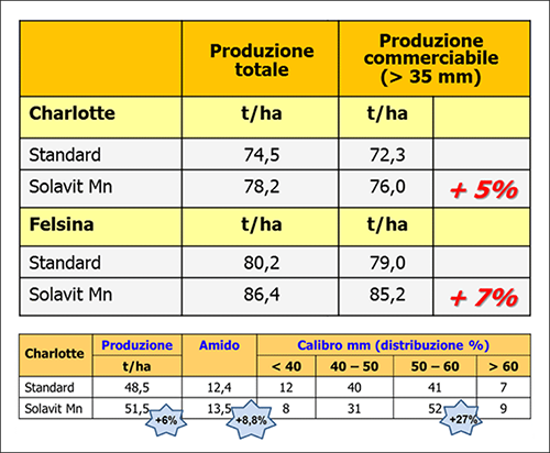 Migliorare il calibro e la qualità dei tuberi è semplice con SOLAVIT Mn
