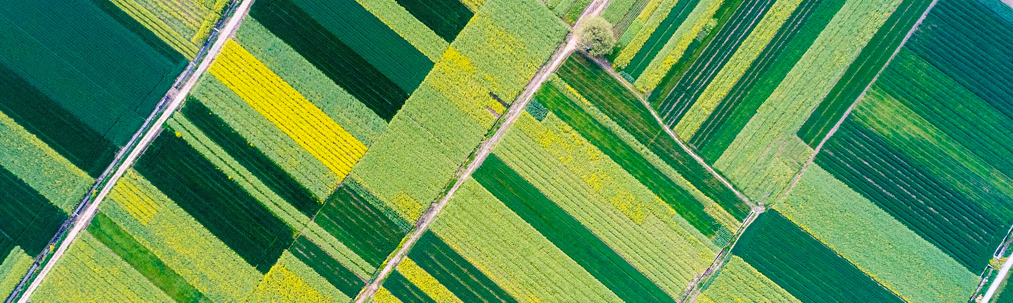 2019 Biolchim Groups' sustainability report - Biolchim