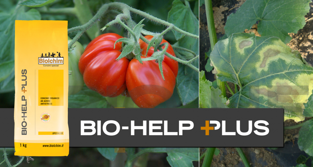 Superamento stress: Bio-Help diventa Bio-Help Plus