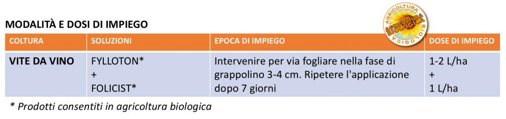 Strategie per l’allungamento del grappolo