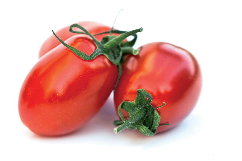 Industrial tomato: 3 high-income solutions