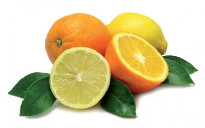 Arancio: eccellenza nonostante la siccità. Ecco come