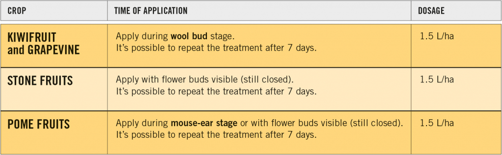 Budding and flowering: the standardizing intervention