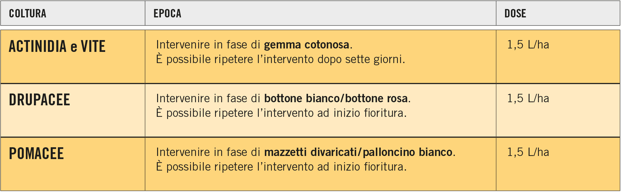 Germogliamento e fioritura: l&#039;intervento uniformatore