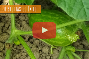 cocomero_ESP