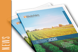 catal_2026 catal_2026