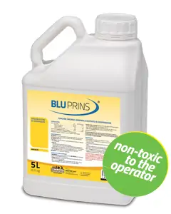 tan_bluprins_bollo_eng