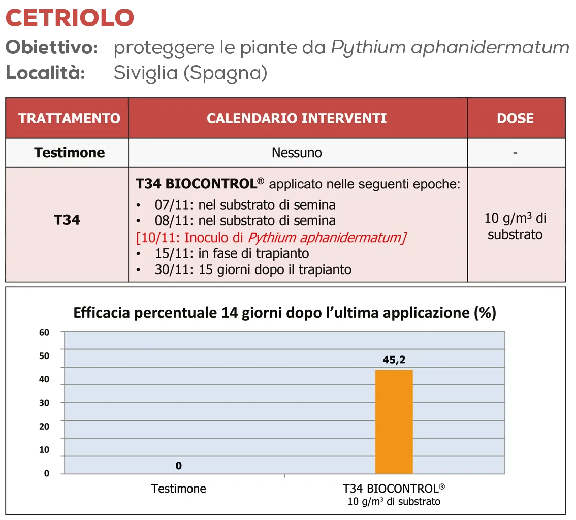Marciumi radicali e non solo: stop alle malattie fungine