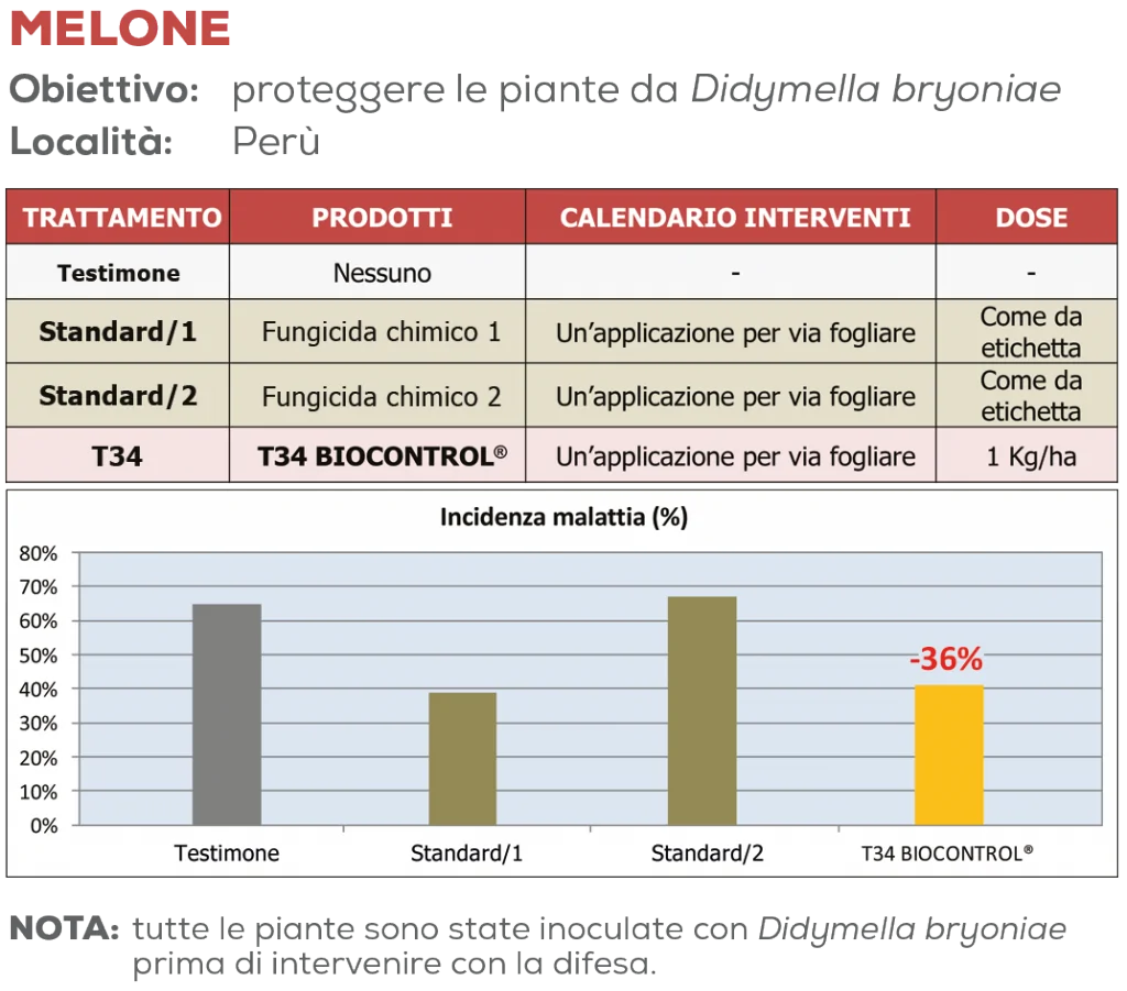 Marciumi radicali e non solo: stop alle malattie fungine