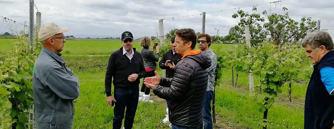 From Australia to Italy: a network of agronomic successes