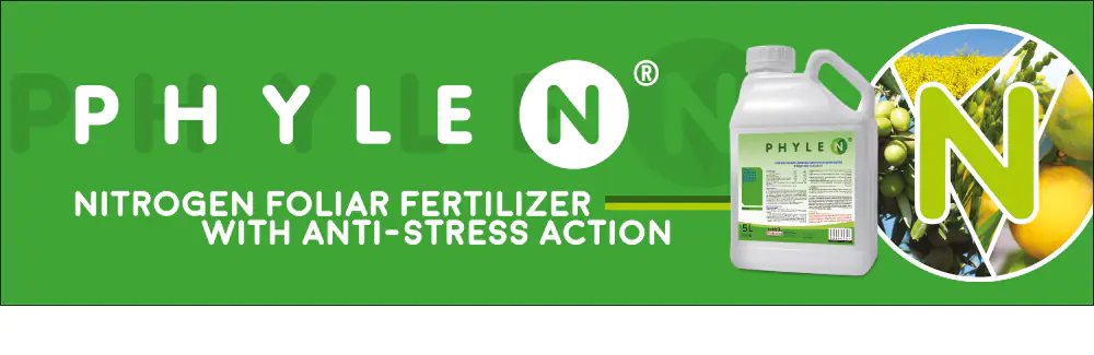 Overcoming stunted growth and increasing yields