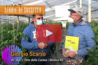 thumb_storie_di_successo_MartinoRe_ITA