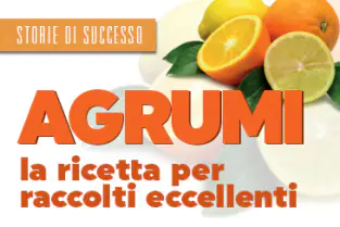 thumb_storie_di_suc_agrumi