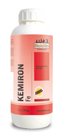 flac_KEMIRON_Fe