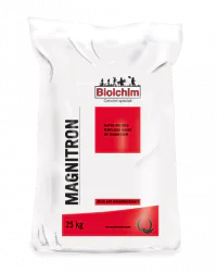 magnitron_sacco