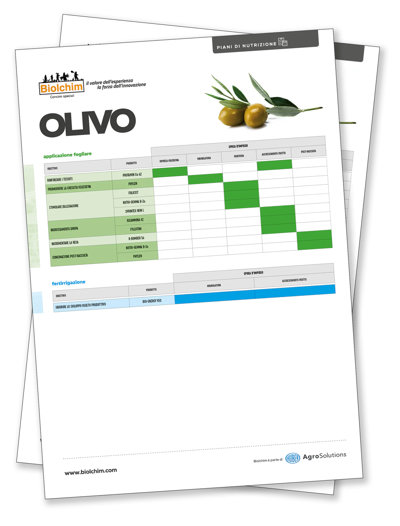 Biolchim at “Olivo in Campo”: Innovations in Olive Nutrition