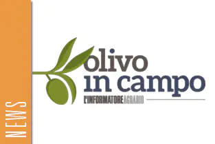 thumb_news_ulivo thumb_news_ulivo