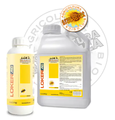 Fortalecer el viñedo: la nutrición como apoyo a la productividad